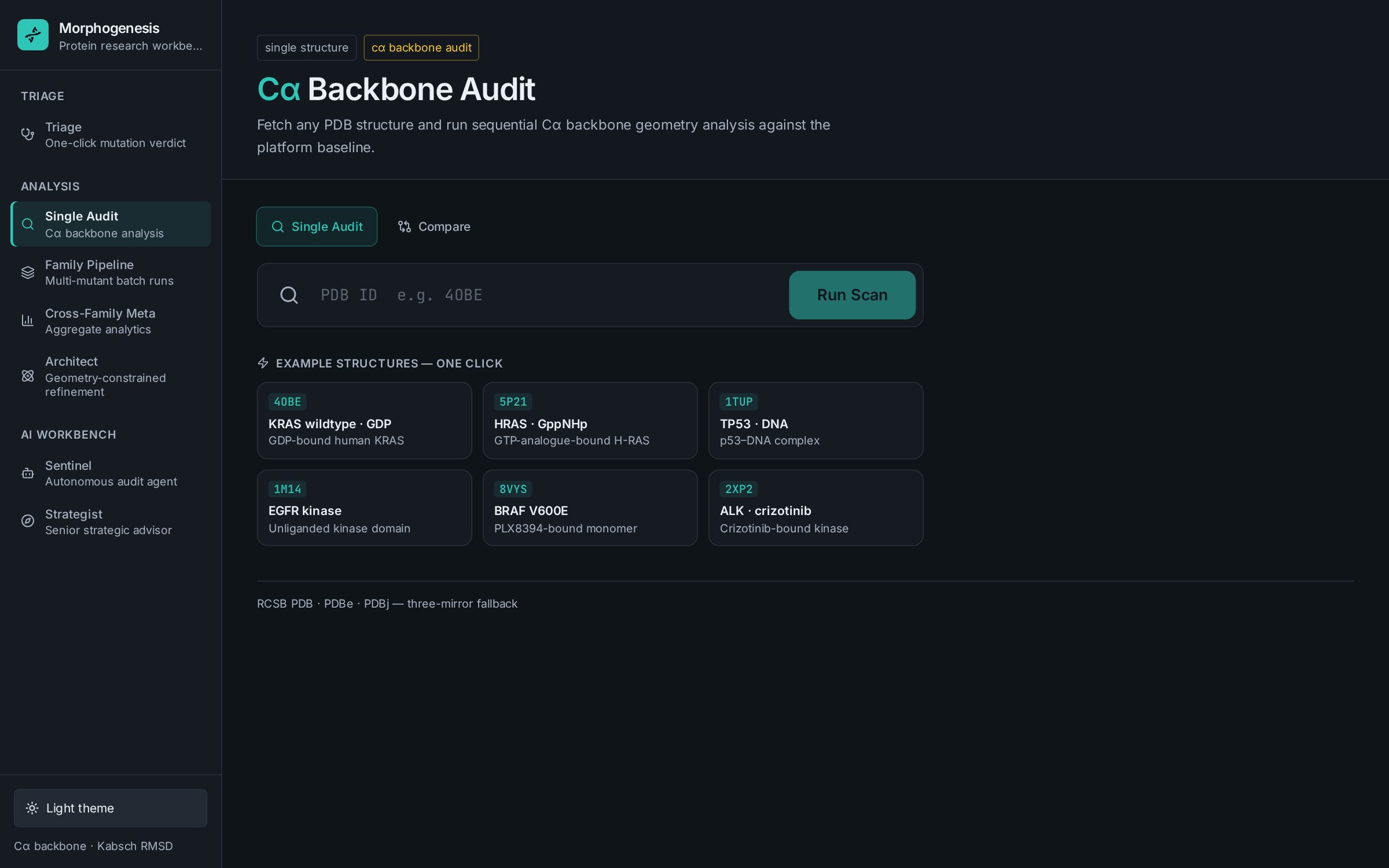 Single Audit page of the Morphogenesis app
